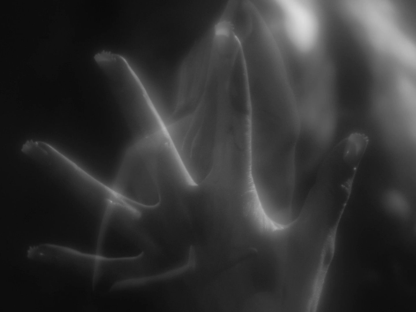 Itch